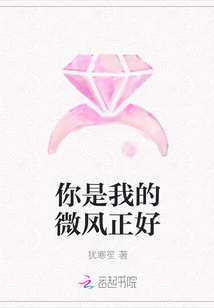 你是我的微風正好