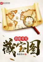 我能看见藏宝图在线阅读