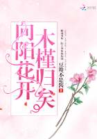 向陽花開木槿歸矣在線閱讀