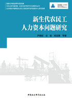 新生代农民工人力资本问题研究