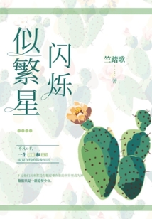 似繁星閃爍