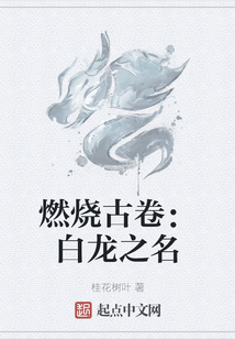 燃燒古卷:白龍之名
