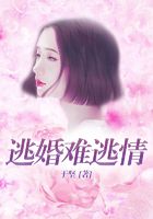 逃婚難逃情在線閱讀