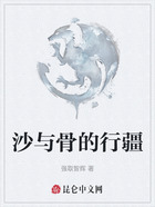 沙与骨的行疆在线阅读