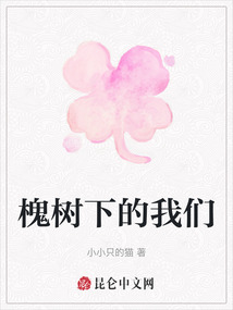 槐樹下的我們