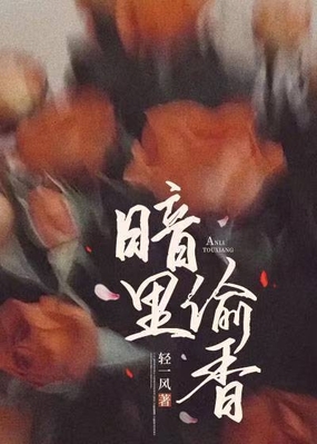 暗里偷香在线阅读