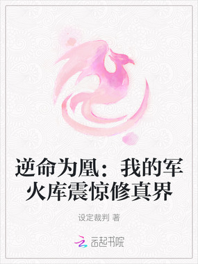 逆命为凰:我的军火库震惊修真界在线阅读