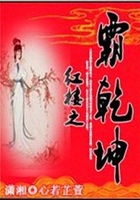 红楼之霸乾坤在线阅读