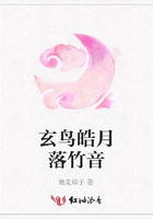 玄鳥皓月落竹音在線閱讀