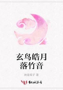 玄鳥皓月落竹音