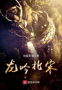 龙吟北宋