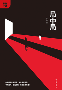 局中局