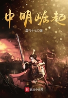 中明崛起在線閱讀