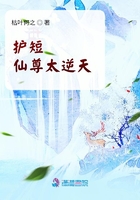 護短仙尊太逆天在線閱讀