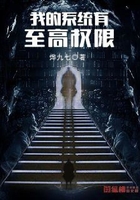 我的系统有至高权限在线阅读