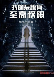 我的系統有至高權限