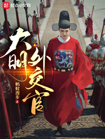 大明外交官在线阅读