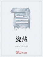 瓷藏在线阅读