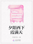 夕阳西下霞满天在线阅读