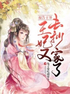 报告王爷，王妃又去抄家了在线阅读