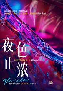 Sales夫妇（江疏影、佟大为主演影视《夜色正浓》原著）