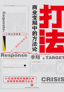 打法：商業變局中的方法論