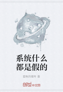 系統什么都是假的