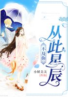 从此星辰不及你在线阅读