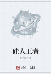 硅人王者