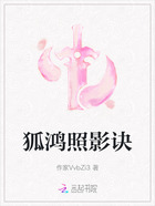 狐鸿照影诀在线阅读