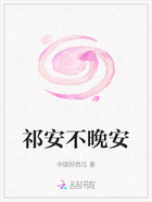 祁安不晚安在线阅读