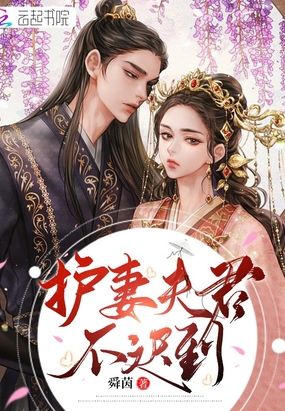 护妻夫君不迟到在线阅读