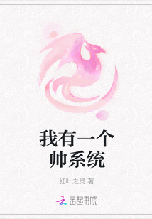 我有一個帥系統(tǒng)