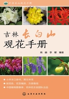 吉林长白山观花手册在线阅读