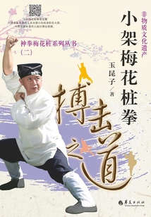 小架梅花樁拳:搏擊之道