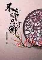 不言風(fēng)月只言卿在線閱讀