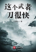 这个武者刀很快