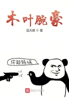 我在木叶当拳师