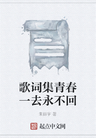 歌词集青春一去永不回