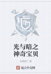 光與暗之神奇寶貝