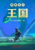 海賊王之王國在線閱讀