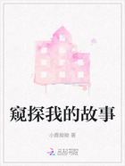 窥探我的故事在线阅读