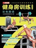 健身房训练彩色图谱(超值口袋版)在线阅读