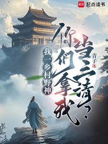 我一乡村野神，你们拿我当三清？（赤羽、陈阳）在线阅读