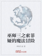 巫师三之索菲娅的魔法冒险在线阅读