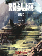 双头鹰崛起在线阅读