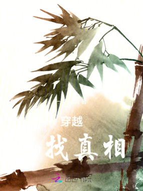 穿越，寻找真相在线阅读