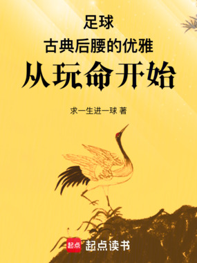 足球:古典后腰的优雅从玩命开始在线阅读