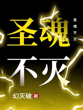 圣魂不灭在线阅读