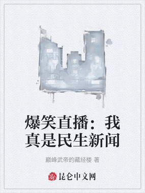 爆笑直播：我真是民生新闻在线阅读